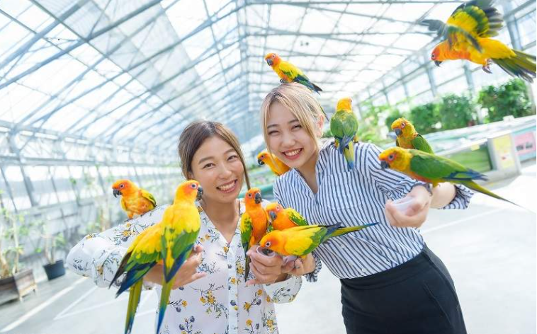 202602261443-6323201604.png image.png