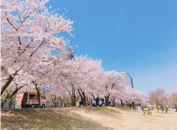 202602261533-2505374446.png image.png