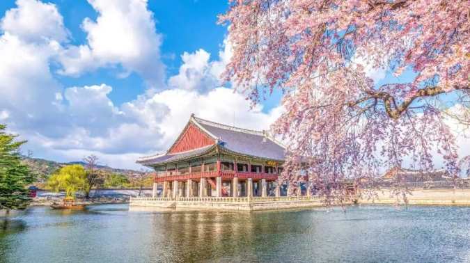 202602261533-9758839662.png image.png