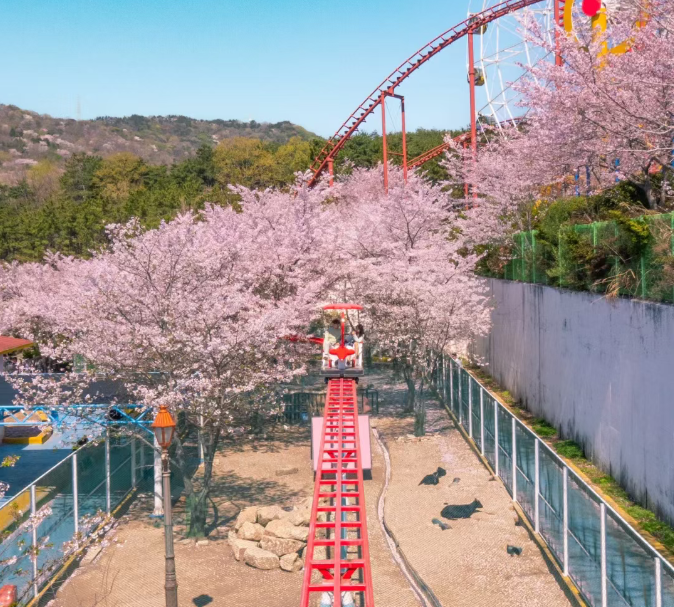 202602261535-9947043398.png image.png