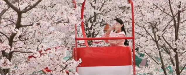 202602261605-1602542288.png image.png