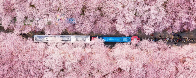 202602261605-5038213299.png image.png