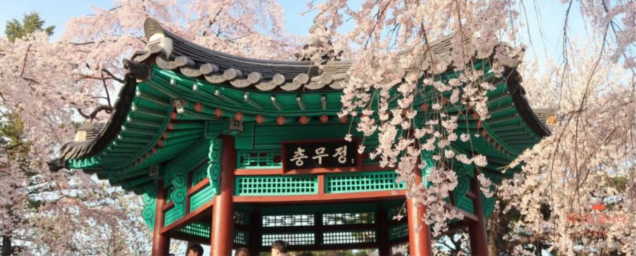 202602261605-7391000395.png image.png