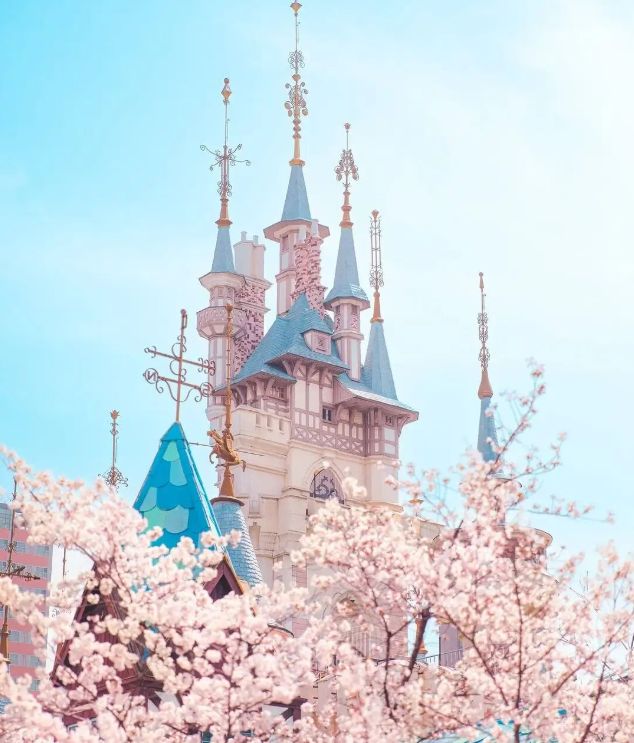 202602261606-4335202578.png image.png