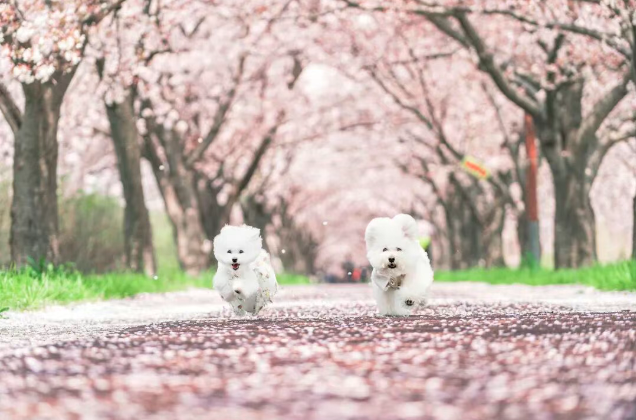 202602261606-6334552972.png image.png