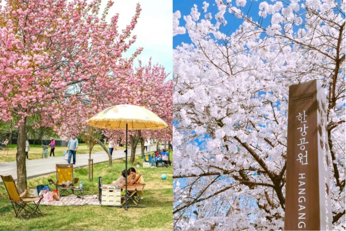 202602261626-1970516536.png image.png