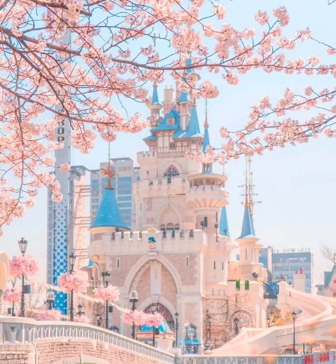 202602261626-4065407588.png image.png