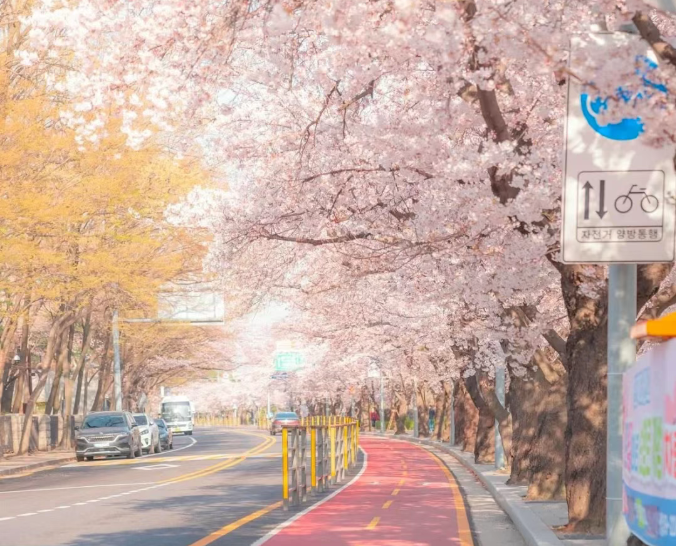 202602261627-4254085876.png image.png