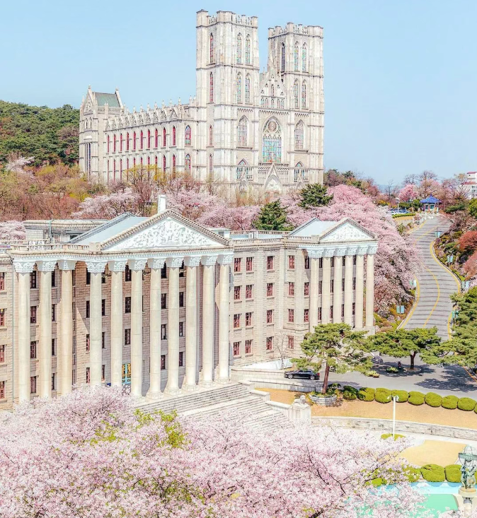 202602261627-5220474411.png image.png