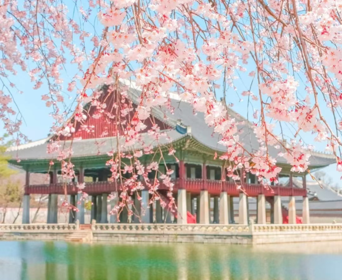 202602261627-5525383758.png image.png