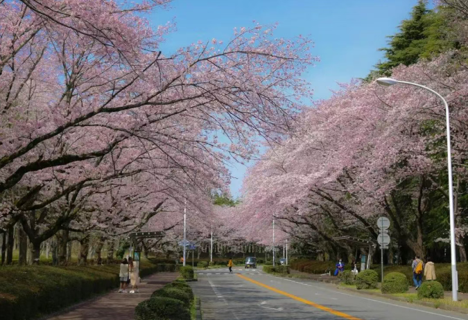 202602261643-5092080669.png image.png