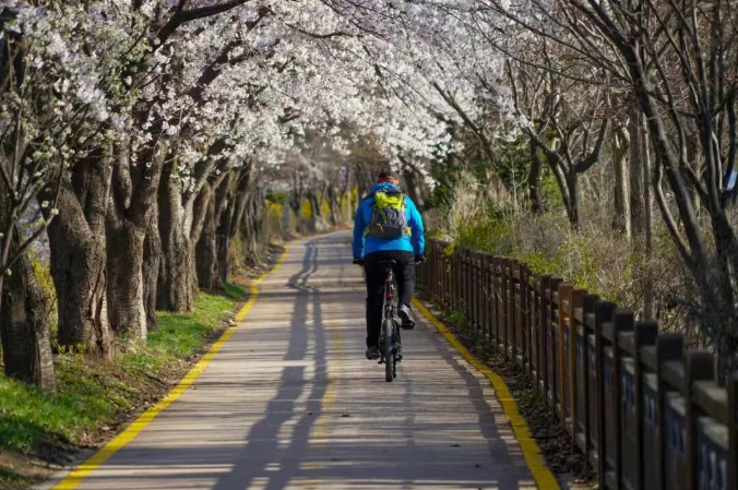 202602261644-3566671781.png image.png