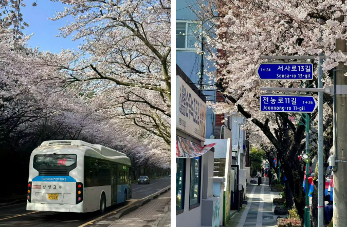 202602261644-6445123129.png image.png