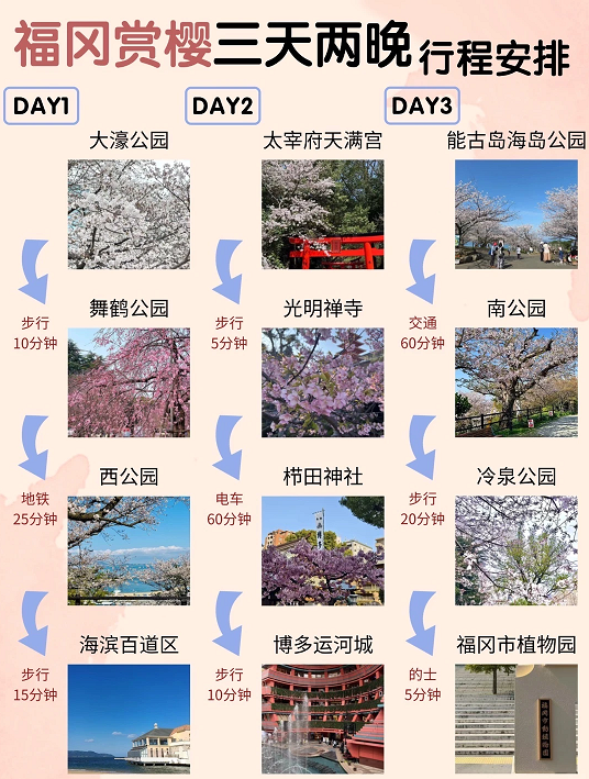 202602261746-9875579504.png image.png