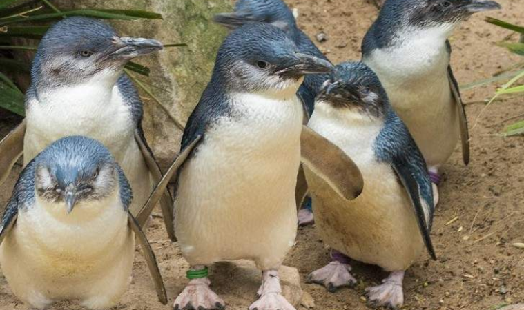 202602271405-6907112278.png image.png