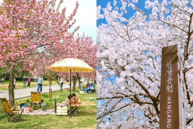 202602271454-3387526983.png image.png