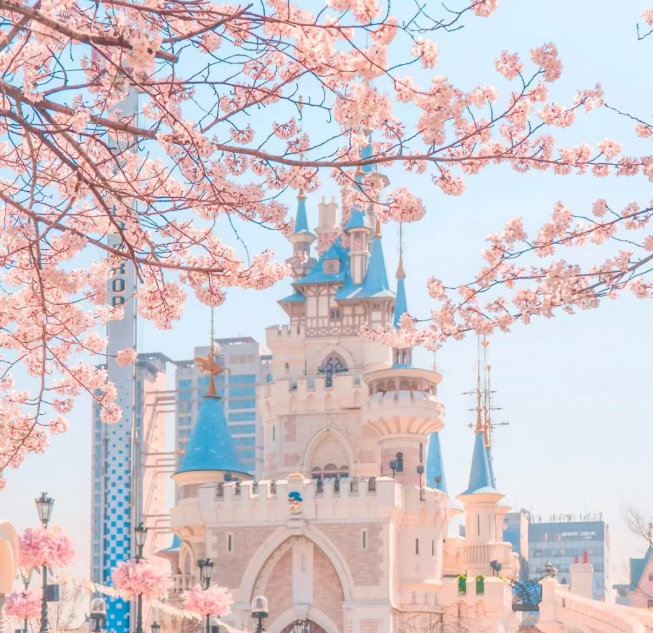 202602271454-9277277134.png image.png