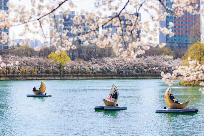 202602271454-9286845843.png image.png