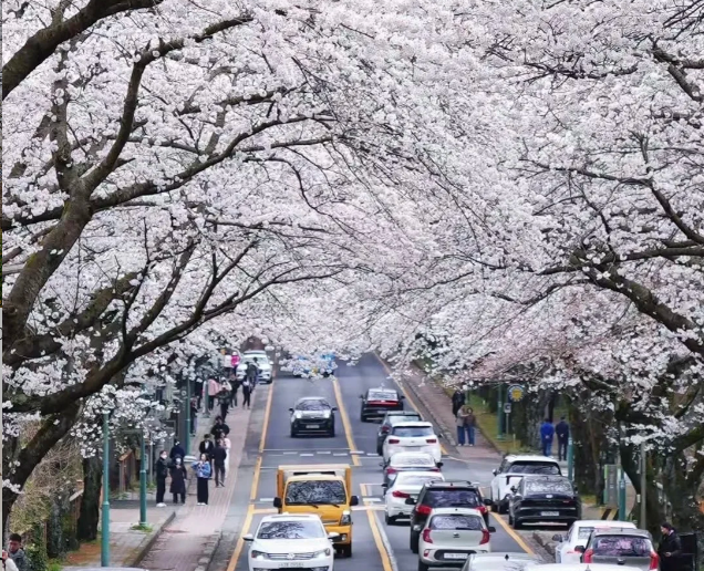 202602271523-7218355757.png image.png