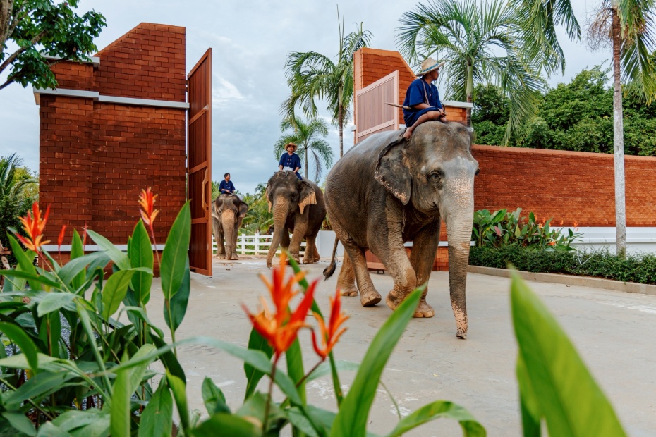 202602271604-1483569474.jpg 930-6.jpg