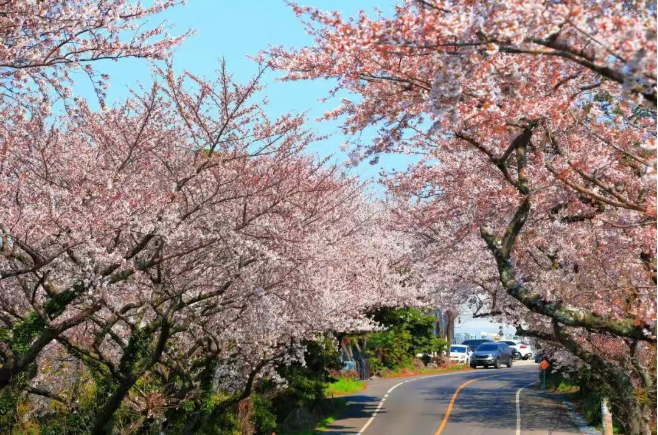 202602271614-3964330962.png image.png