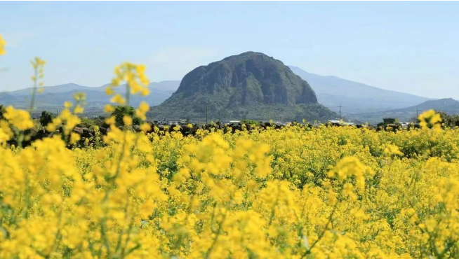 202602271615-7456584785.png image.png