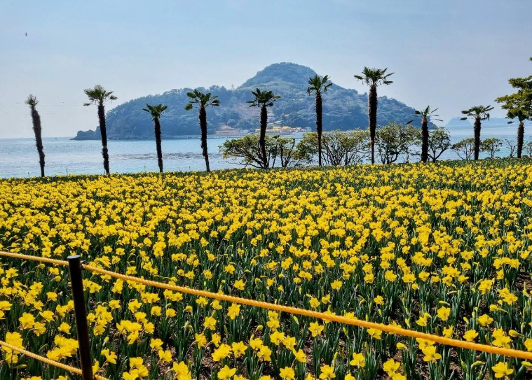 202602281013-2577523944.png image.png