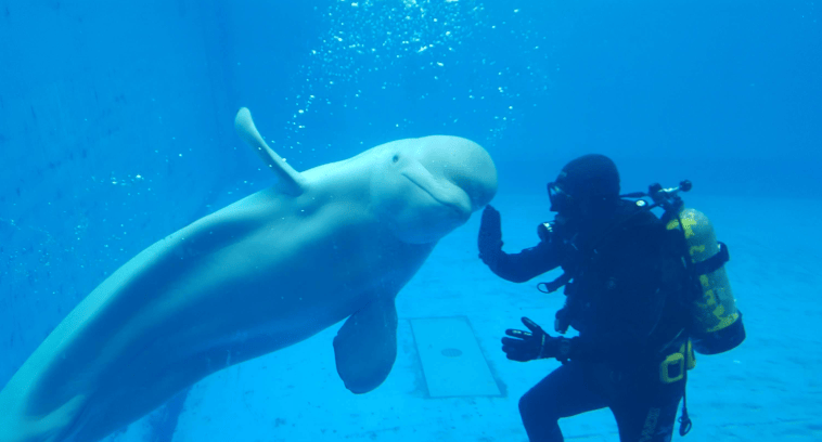 202602281015-3182622170.png image.png