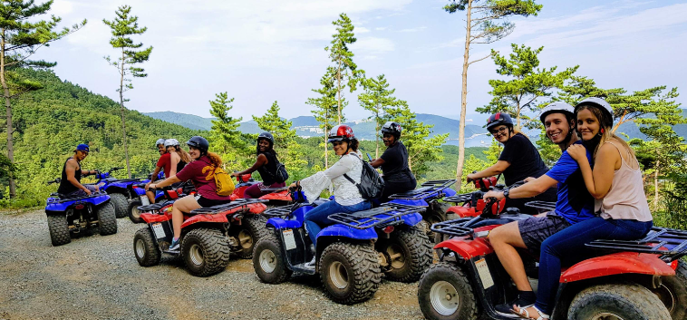 202602281016-7953372804.png image.png