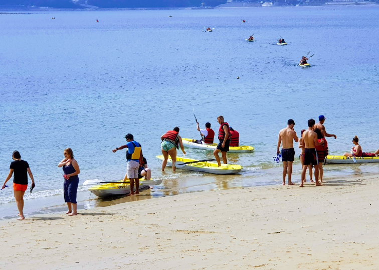 202602281017-7525081838.png image.png