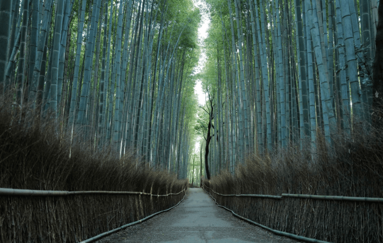 202602281505-3436554869.png image.png