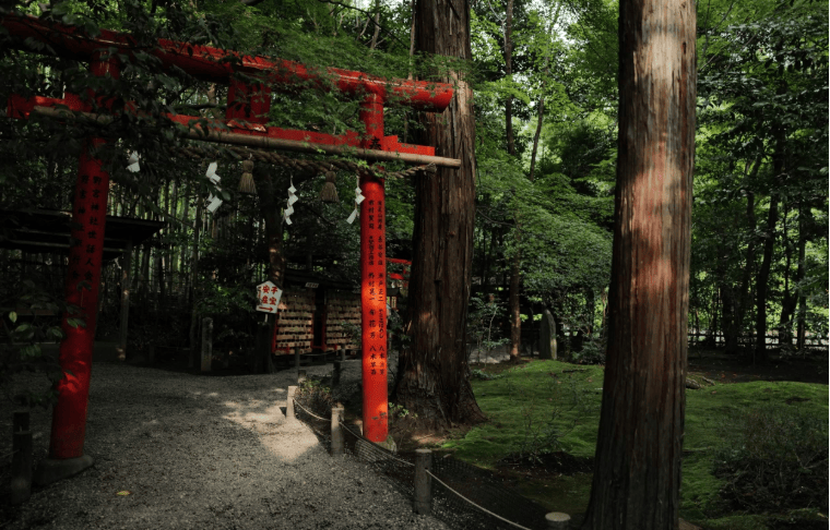 202602281505-8807272454.png image.png