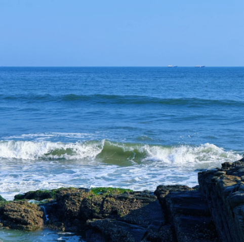 202602281622-3812884119.png image.png