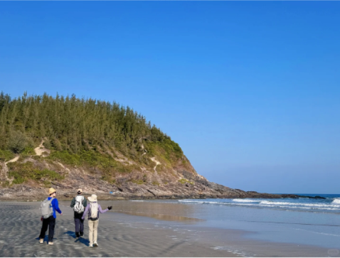 202602281622-7488177708.png image.png