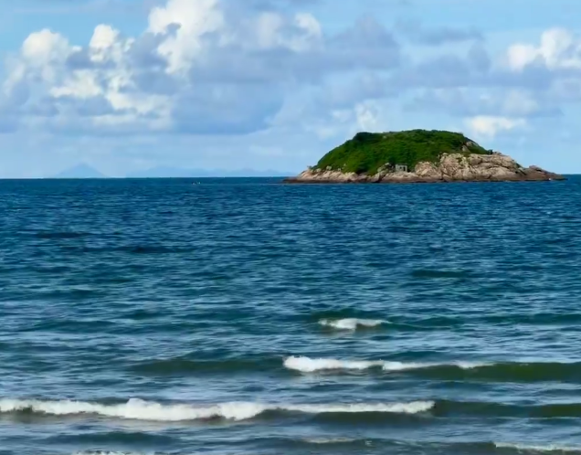 202602281624-9827563983.png image.png