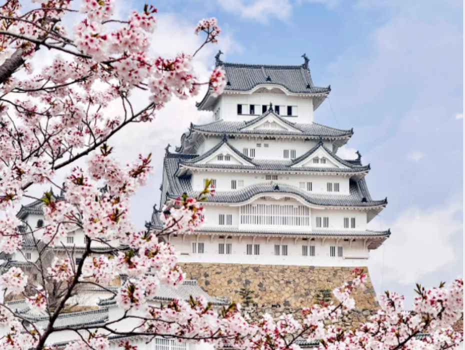 202603021031-4165690665.png 企业微信截图_17724182328794.png