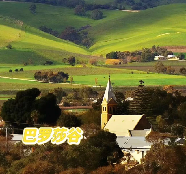 202603021455-9077434854.png image.png