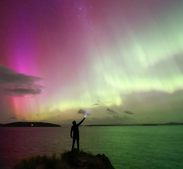 202603021458-2105462880.png image.png