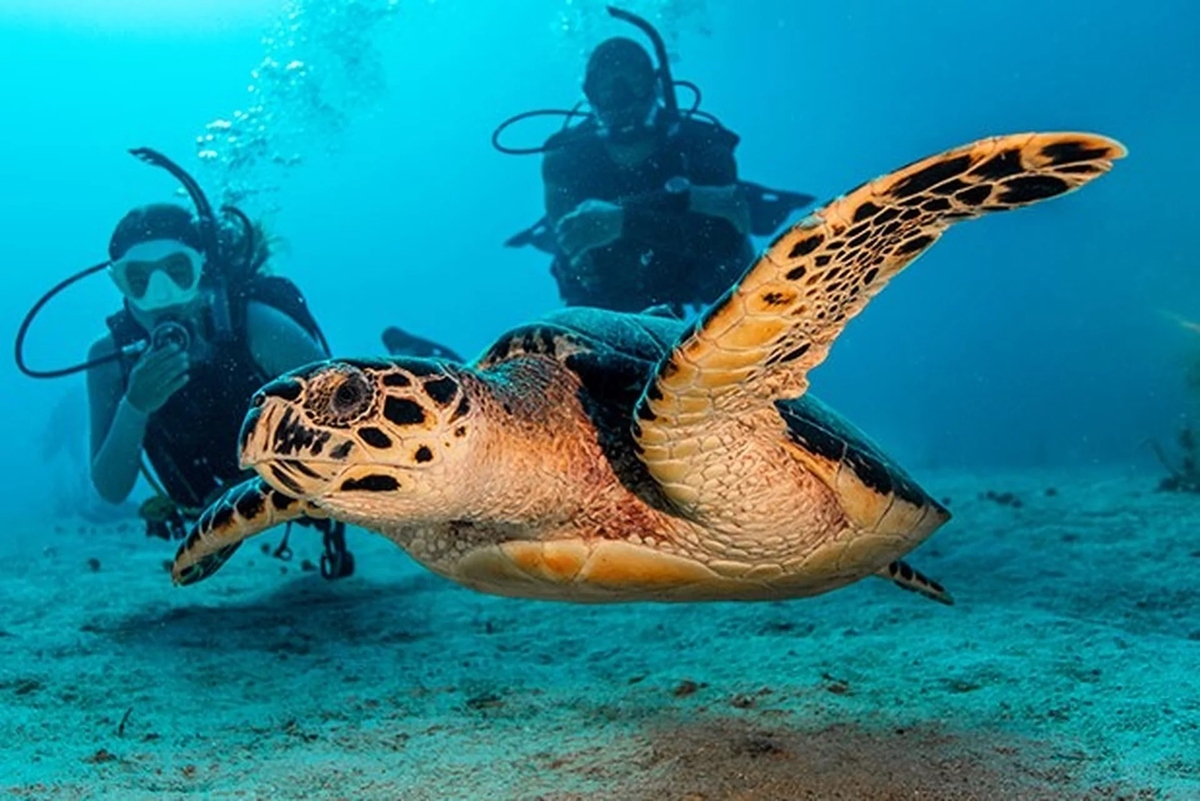 202603021633-3541651471.jpg 202603021633-3541651471.jpg