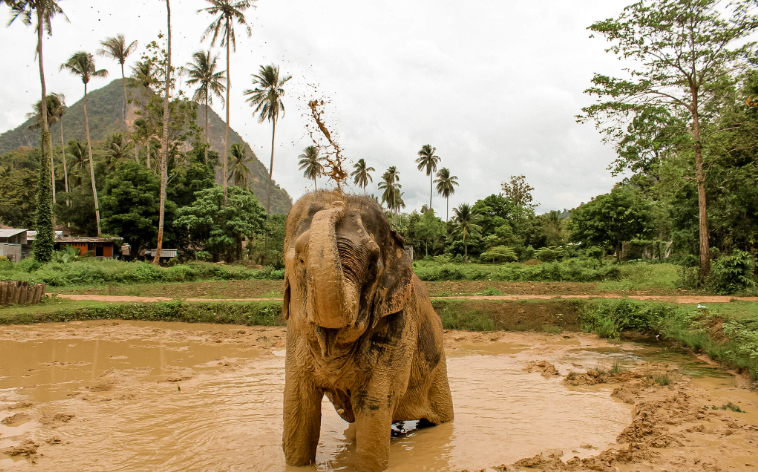 202603030948-9227238695.png image.png