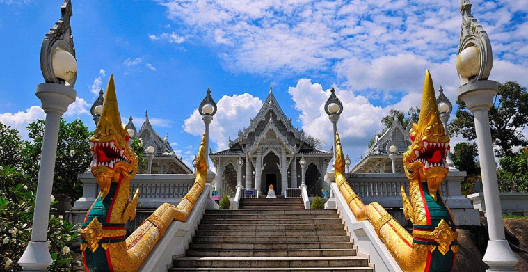 202603031054-7727502132.png image.png