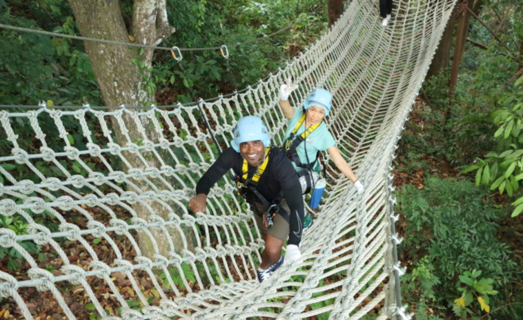 202603031125-2254319690.png image.png