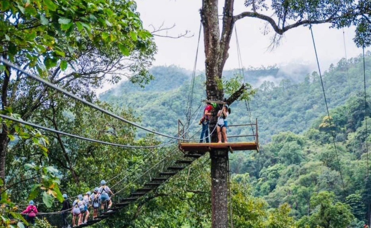 202603031125-8541367482.png image.png