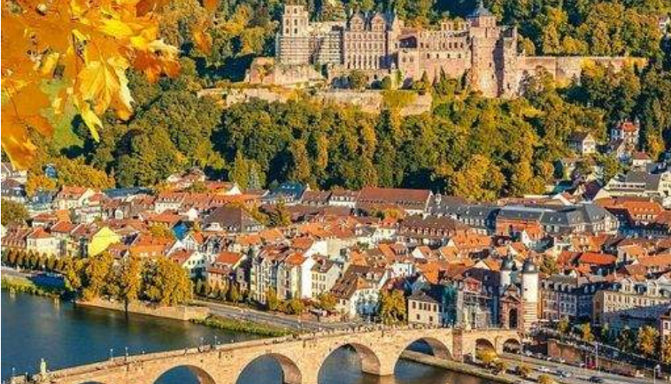 202603031327-8635539303.png image.png