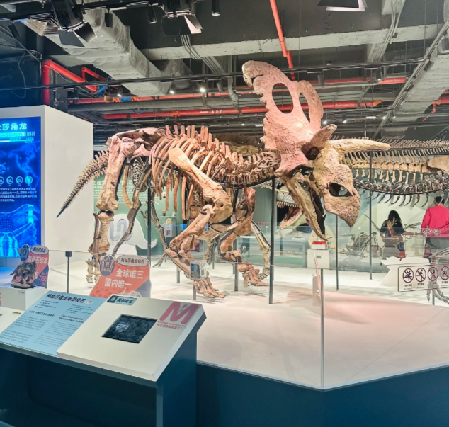 202603031606-9427933835.png image.png