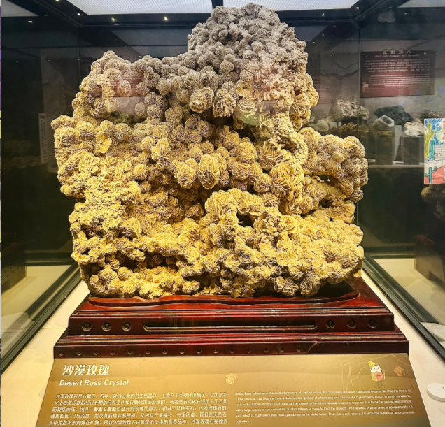 202603031607-6339830283.png image.png