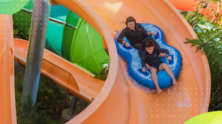 202603041606-2482361234.png 930-3.png