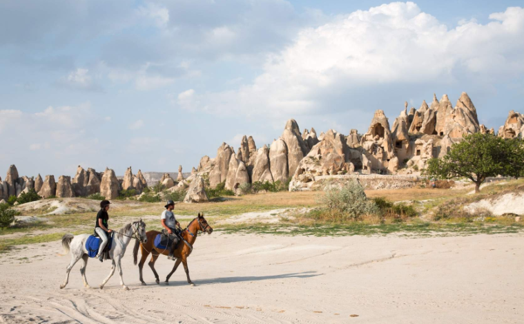 屏幕截图 2026-03-09 112522.png