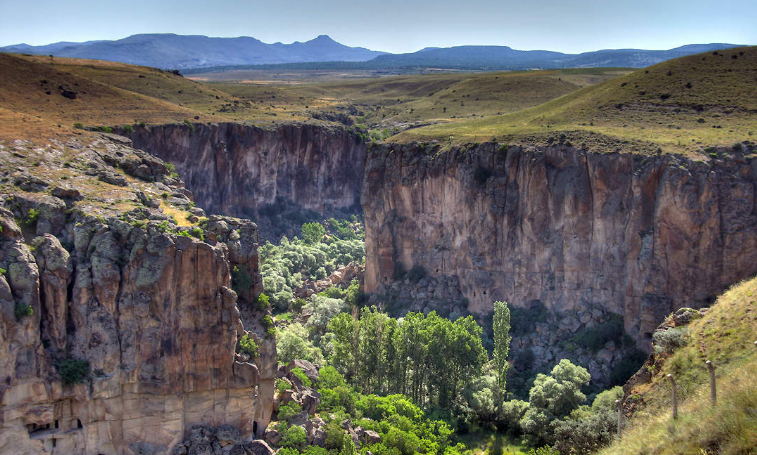 202603091334-3135328732.png image.png