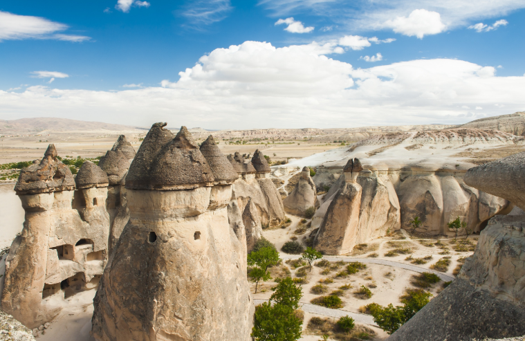 202603091334-6009797456.png image.png